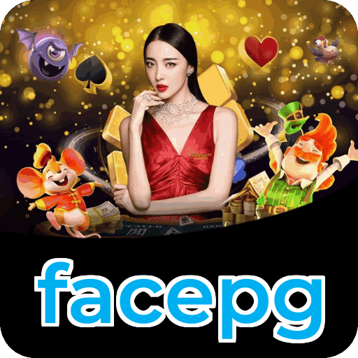 Métodos de pagamento aceitos na facepg